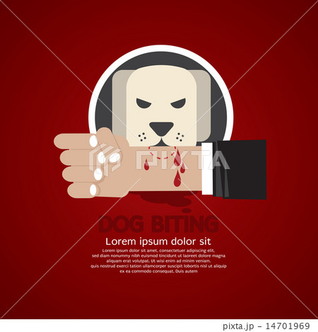 Dog Biting On Hand 14701969