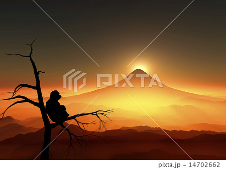 富士山と猿 富士山と猿 14702662