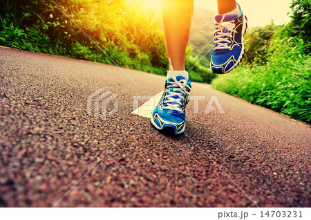 young fitness woman runner legs running at forest  14703231
