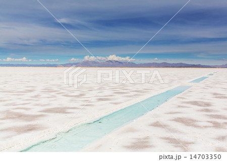 Salinas in Argentina 14703350
