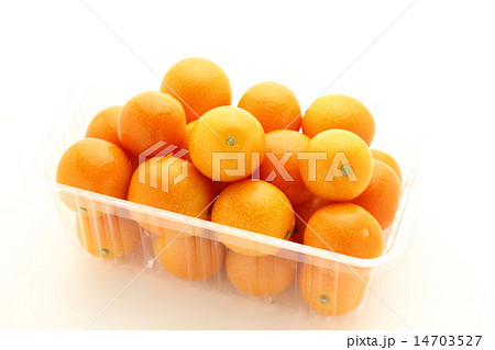 金柑　たまたま 14703527