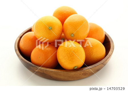 金柑 たまたま 金柑 たまたま 14703529