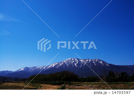 里山の早春 14703597