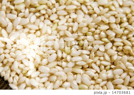 発芽玄米 14703681