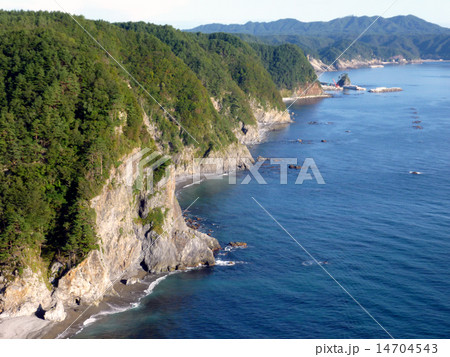 鵜の巣断崖 14704543