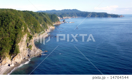 鵜の巣断崖 14704544