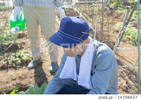 farm farm 14706637