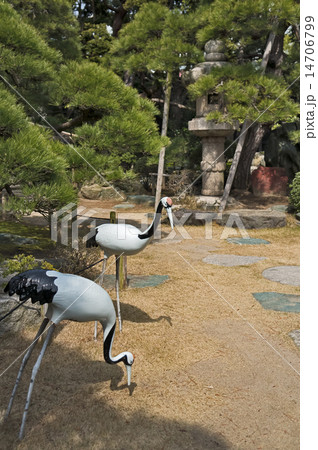 旧小澤家住宅　中庭 14706799