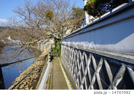 3月風景･西伊豆31なまこ壁・松崎町 14707092