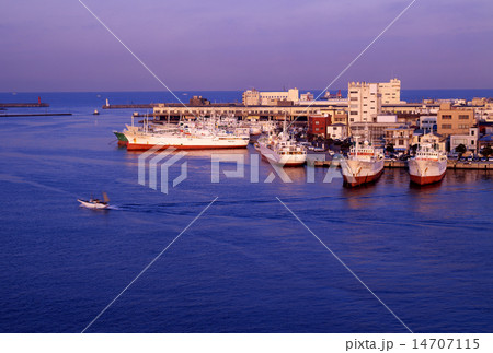 朝の三崎港 14707115