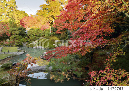 青蓮院門跡 相阿弥の庭 14707634