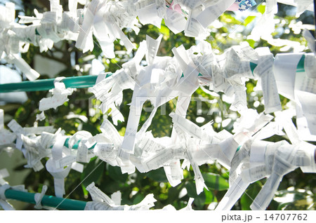 おみくじ 14707762