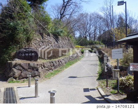 小山田緑地・サービスセンターそばの北口より（東京都町田市） 14708121
