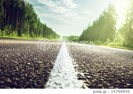 road in sunny forest (shallow DOF) road in sunny forest (shallow DOF) 14709950