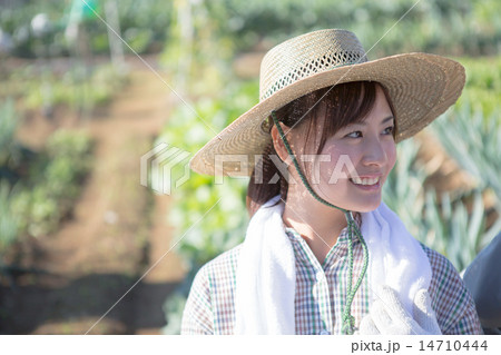 farm farm 14710444