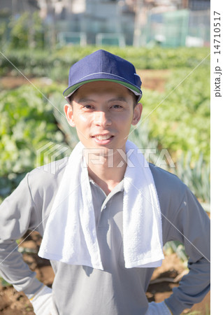 farm farm 14710517