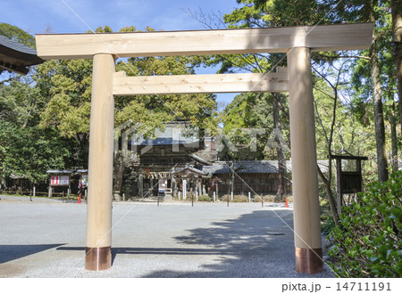 櫻井大神宮鳥居 14711191