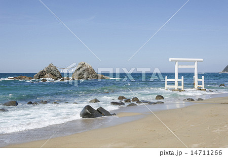 櫻井二見ヶ浦鳥居と夫婦岩 14711266