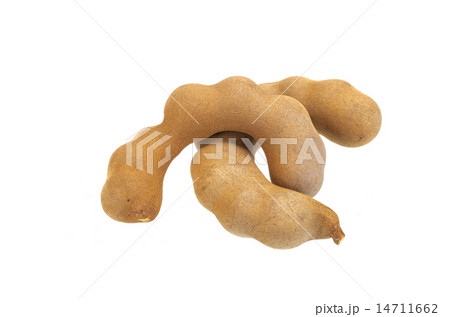 Tamarind 14711662