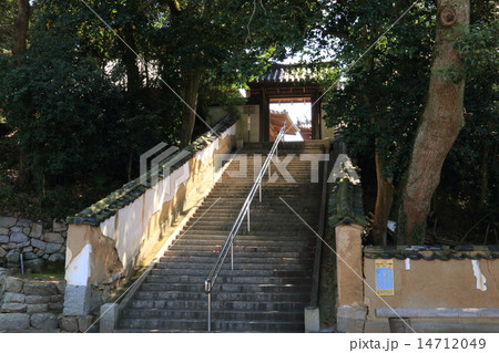 本蓮寺　中門 14712049