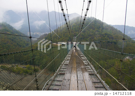 谷瀬の吊り橋 14712118