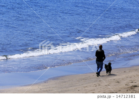 湘南海岸で犬と散歩する男性の写真素材