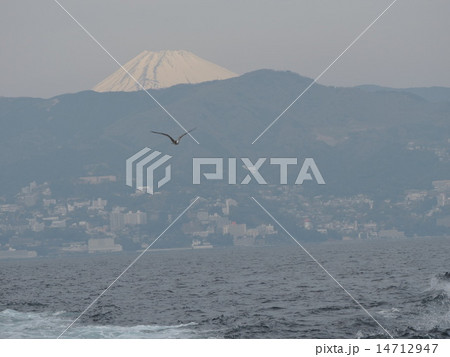 熱海　初島　富士山 14712947