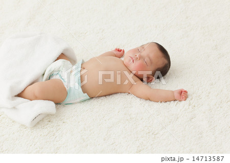 6 months old 6 months old 14713587