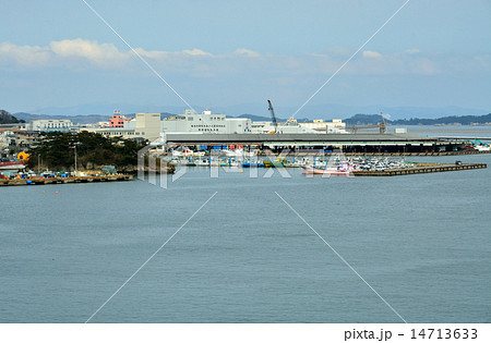 塩竃散歩：魚市場　塩釜港 14713633