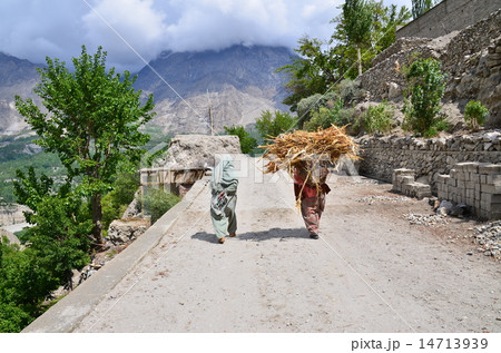 パキスタン　フンザ　カリマバード　竹籠で作物を運ぶフンザの女性 14713939