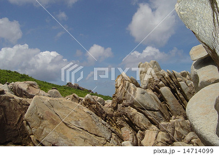 徳之島・ムシロ瀬 14714099