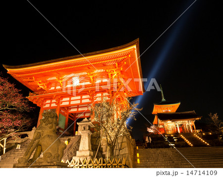 清水寺の仁王門 14714109