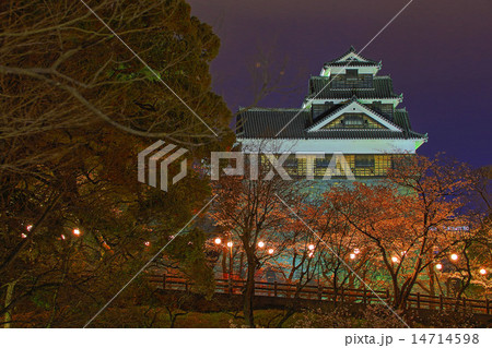 熊本城飯田丸五階櫓ライトアップと夜桜の写真素材