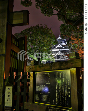 熊本城天守閣ライトアップと頬当御門 14714664