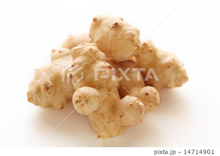 菊芋 14714901