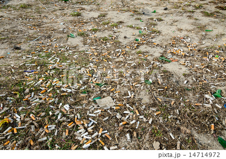 Cigarette butts on lawn of the city in spring Cigarette butts on lawn of the city in spring 14714972