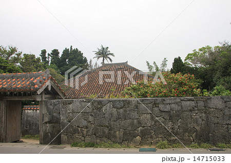 早春の沖縄 14715033