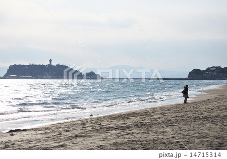 稲村ヶ崎から見る江ノ島 14715314