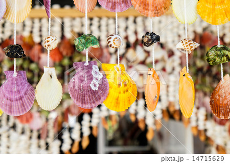 Seashell mobile 14715629