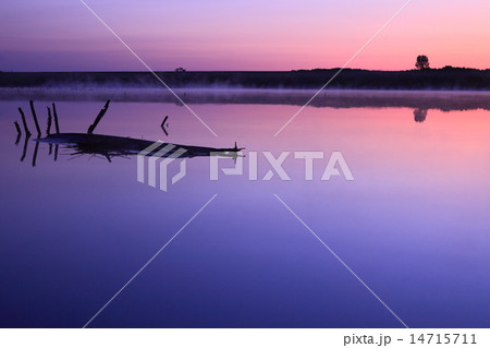 渡良瀬遊水地朝焼け 14715711