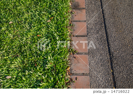 Grass and footpath, topview 14716022