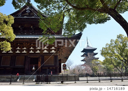 東寺 14716189