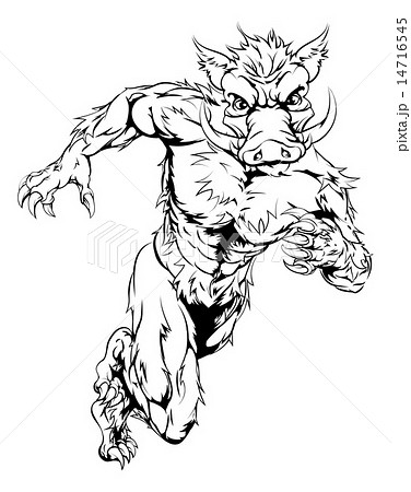 Mean boar character 14716545