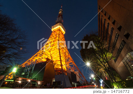 夜のライトアップされた東京タワー 夜のライトアップされた東京タワー 14716772