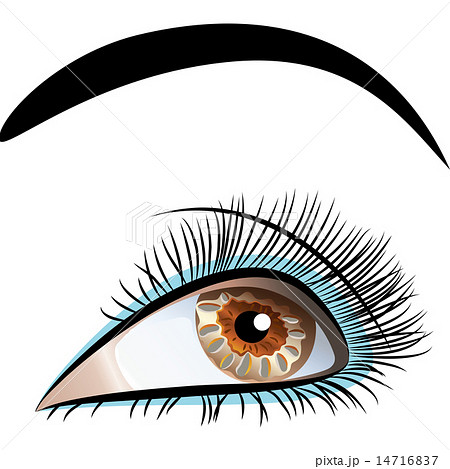 vector closeup of beautiful female eye 14716837