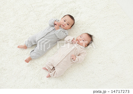 2 months old & 6 months old 14717273