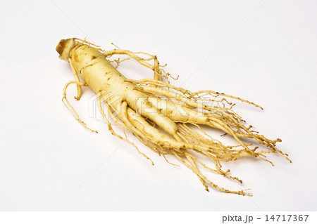 Ginseng 14717367