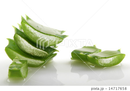Aloe vera plant isolated on white. 14717658