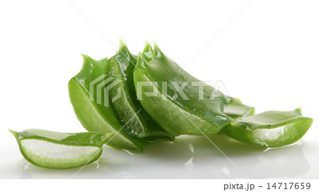 Aloe vera plant isolated on white. 14717659