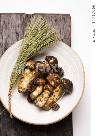 Mushroom Mushroom 14717666